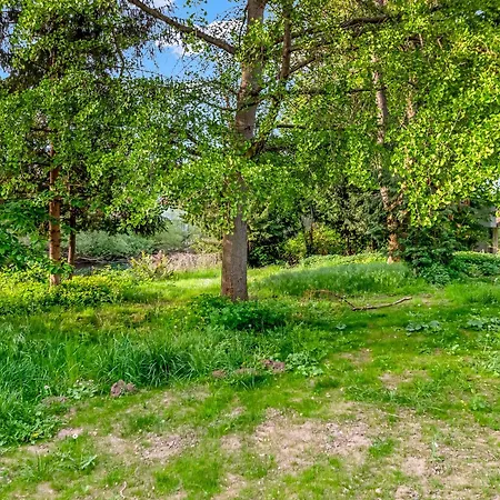 I Altstadt Am Wasser Mit Garten 公寓