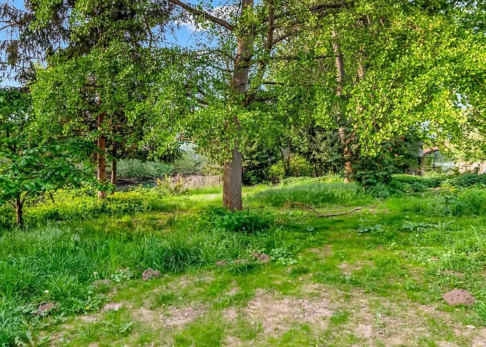 I Altstadt Am Wasser Mit Garten Apartment